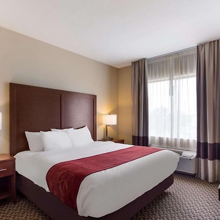 Comfort Suites North Mobile Saraland Buitenkant foto
